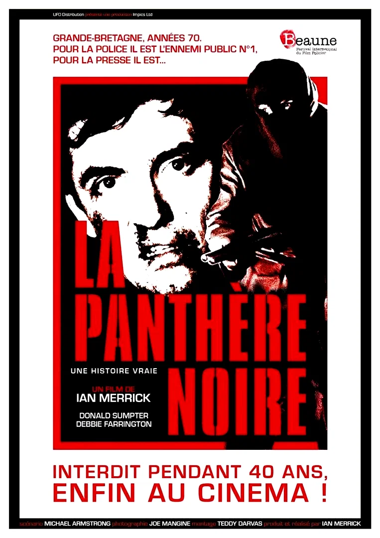 Affiche du film : La Panthère noire