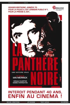 Affiche du film La Panthère noire