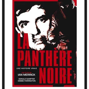 Photo du film : La Panthère noire