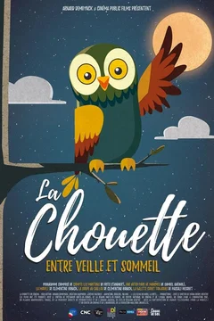 Affiche du film = La Chouette entre veille et sommeil