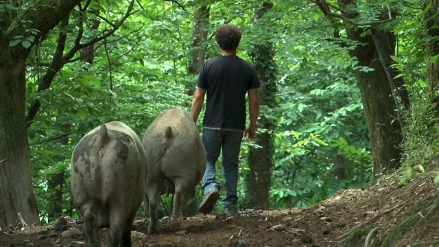Photo du film : Des locaux très motivés