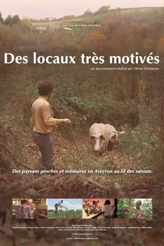 Affiche du film = Des locaux très motivés