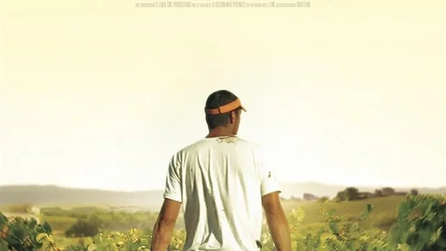 Affiche du film : Vendanges