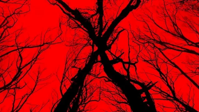 Affiche du film : Blair Witch