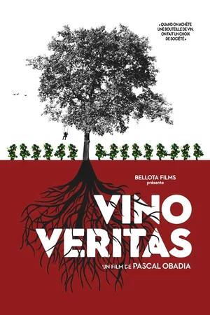 Affiche du film : Vino veritas