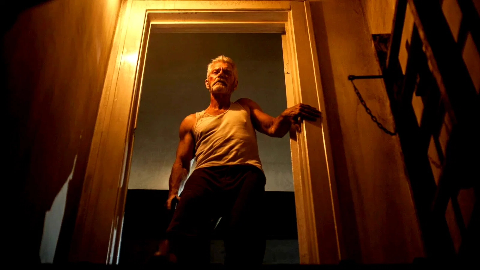Photo du film : Don't Breathe : la maison des ténèbres