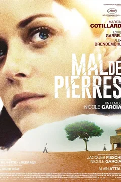 Affiche du film = Mal de Pierres