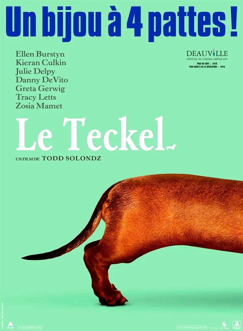 Affiche du film : Le Teckel
