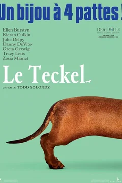 Affiche du film Le Teckel