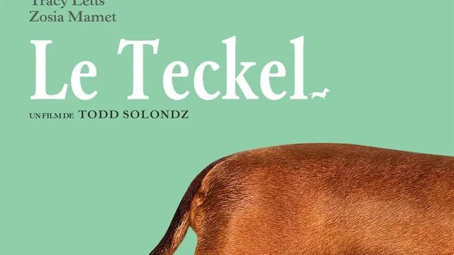 Affiche du film : Le Teckel