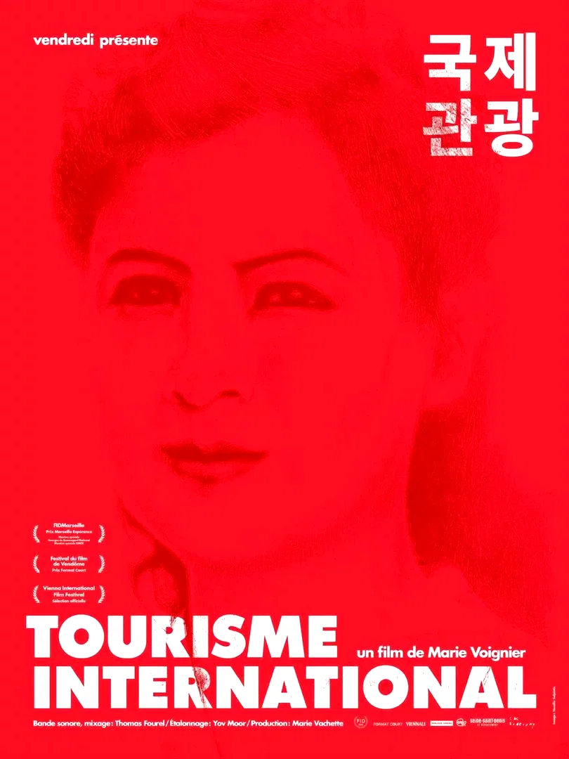 Affiche du film : Tourisme international