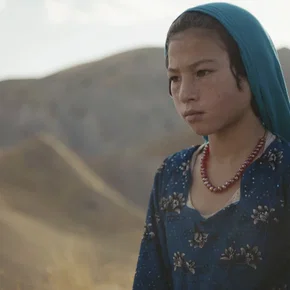 Photo du film : Wolf and Sheep