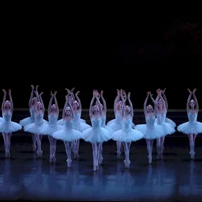 Photo du film : Le lac des cygnes