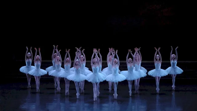 Photo 1 du film : Le lac des cygnes