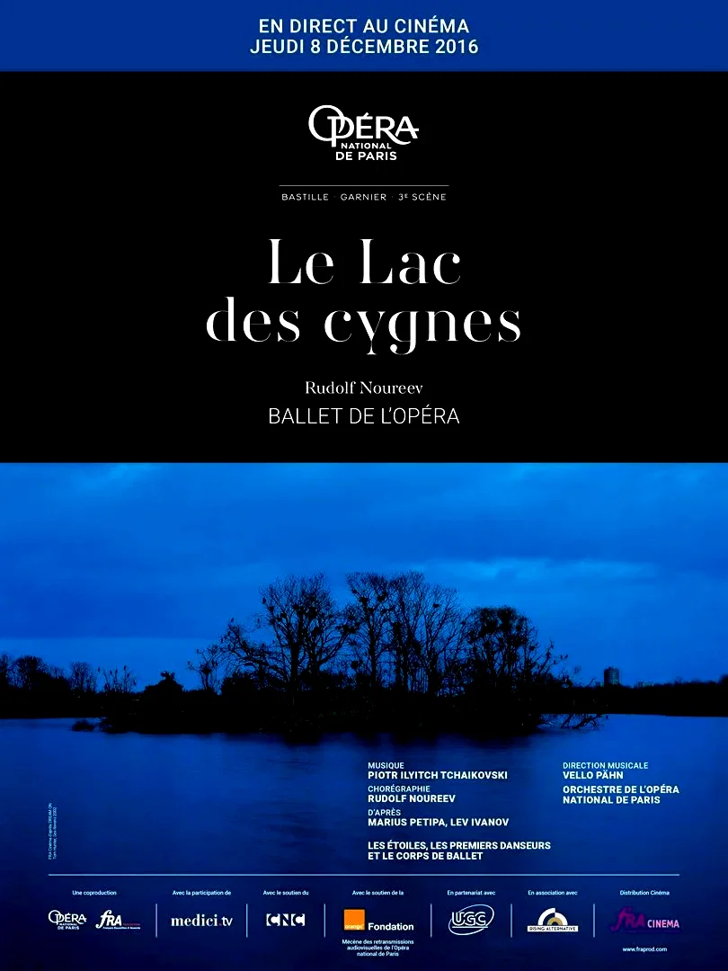 Affiche du film : Le lac des cygnes