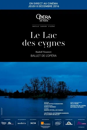 Affiche du film : Le lac des cygnes