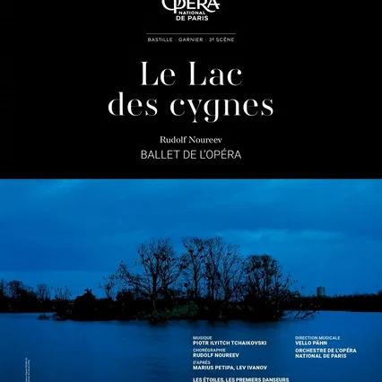 Miniature photo du film : Le lac des cygnes