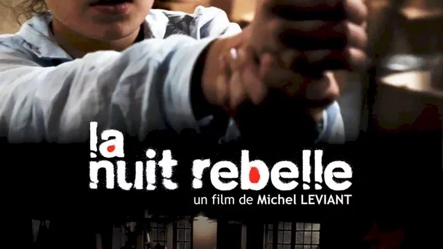Affiche du film : La Nuit rebelle