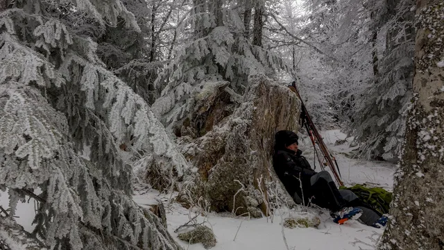 Photo du film : La Vallée des loups