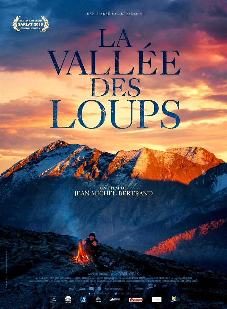 Affiche du film : La Vallée des loups