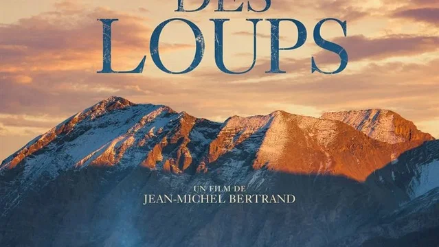 Affiche du film : La Vallée des loups