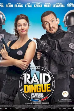 Affiche du film Raid dingue