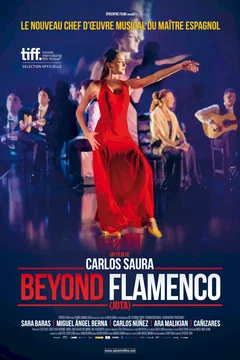 Affiche du film Beyond Flamenco