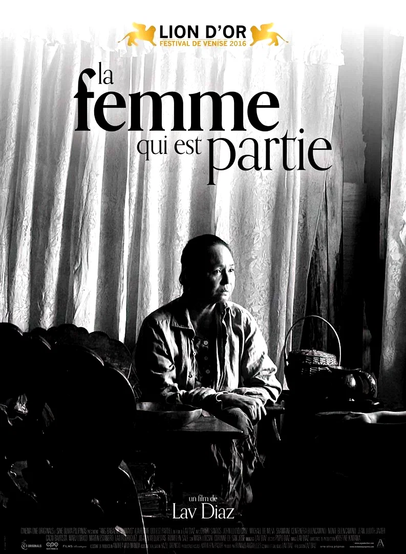 Affiche du film : La Femme qui est partie