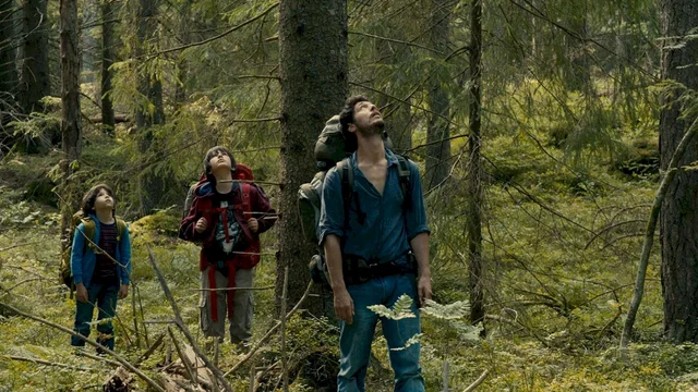 Affiche du film : Dans la foret