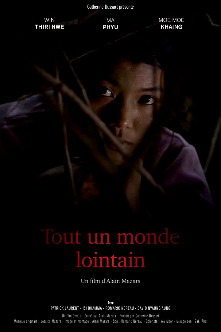 Affiche du film : Tout un monde lointain