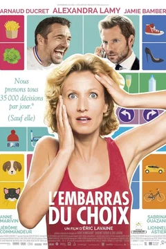 Affiche du film L'Embarras du choix