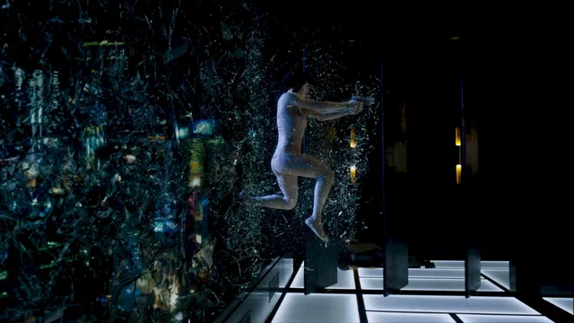 Affiche du film : Ghost in the Shell