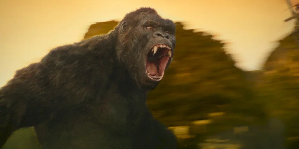 Photo du film : Kong: Skull Island