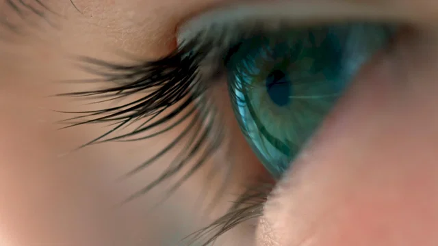Photo 4 du film : Voyage of Time : Au fil de la vie