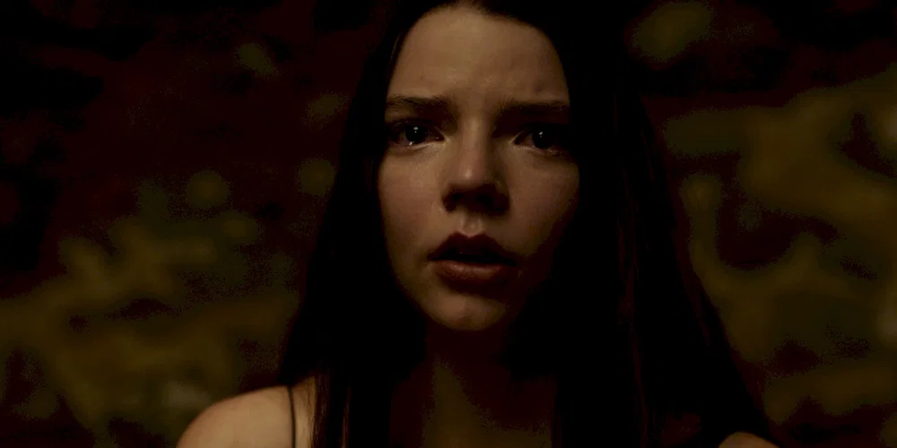 Photo du film : Split