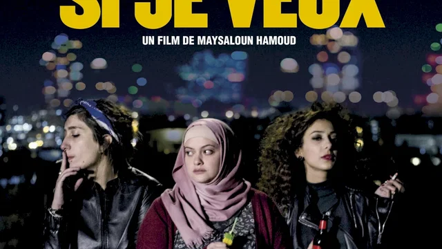 Affiche du film : Je danserai si je veux