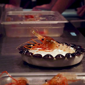 Photo du film : Noma au Japon : Réinventer le meilleur restaurant au monde