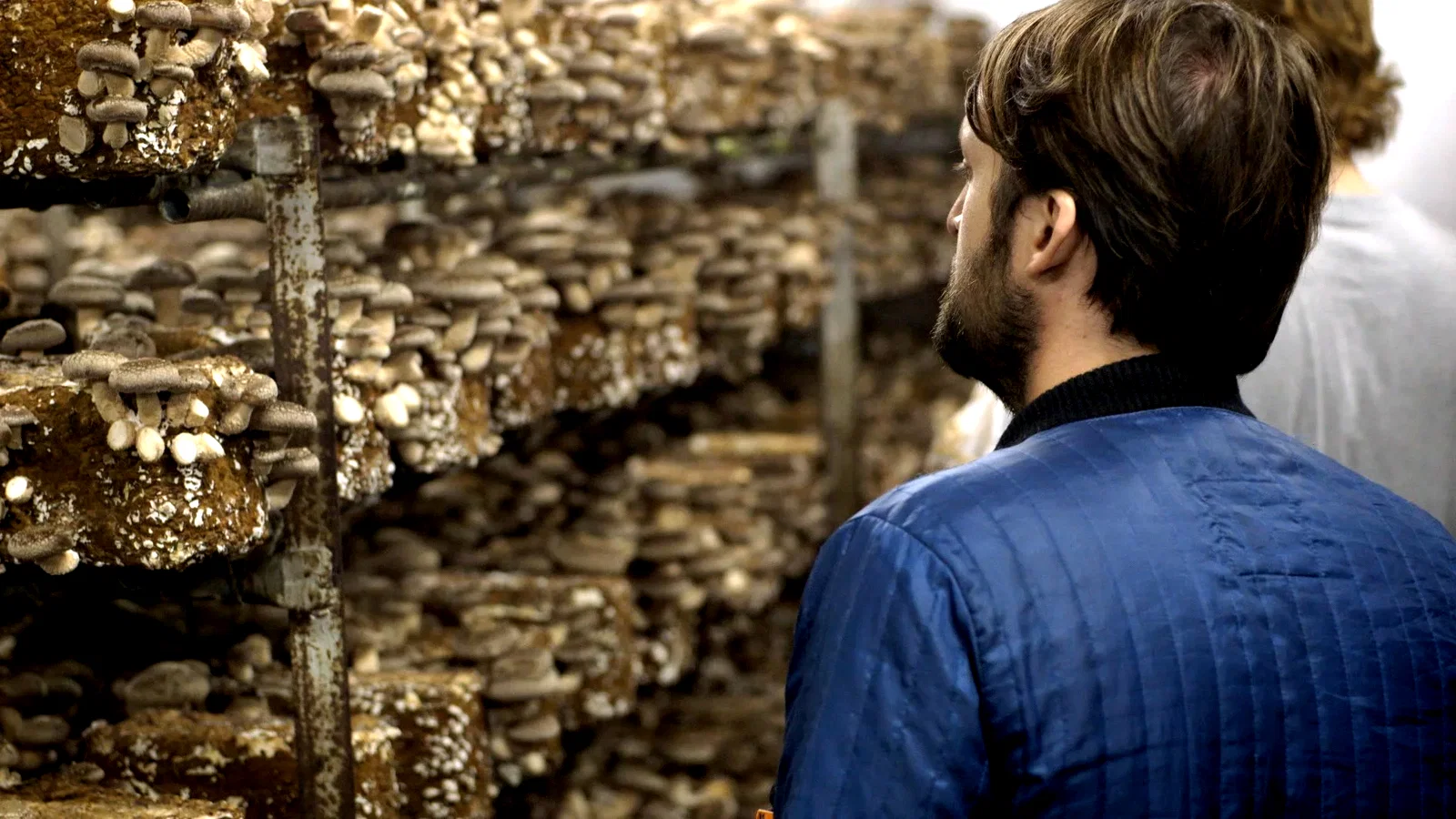 Photo 3 du film : Noma au Japon : Réinventer le meilleur restaurant au monde
