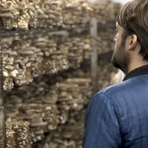Photo du film : Noma au Japon : Réinventer le meilleur restaurant au monde