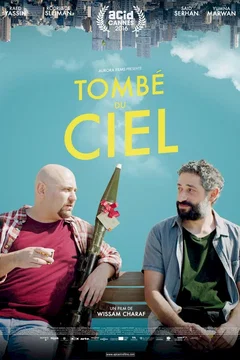 Affiche du film Tombé du ciel