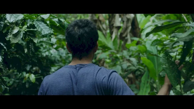 Affiche du film : El Soñador - The Dreamer