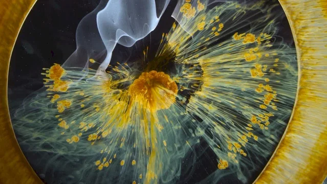 Photo 8 du film : Voyage of Time : Au fil de la vie