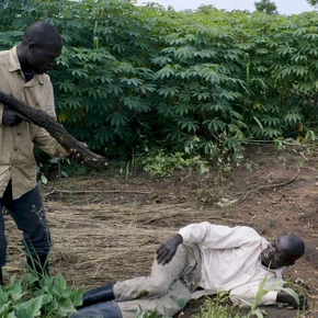 Photo du film : Wrong Elements