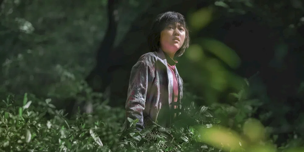Photo du film : Okja