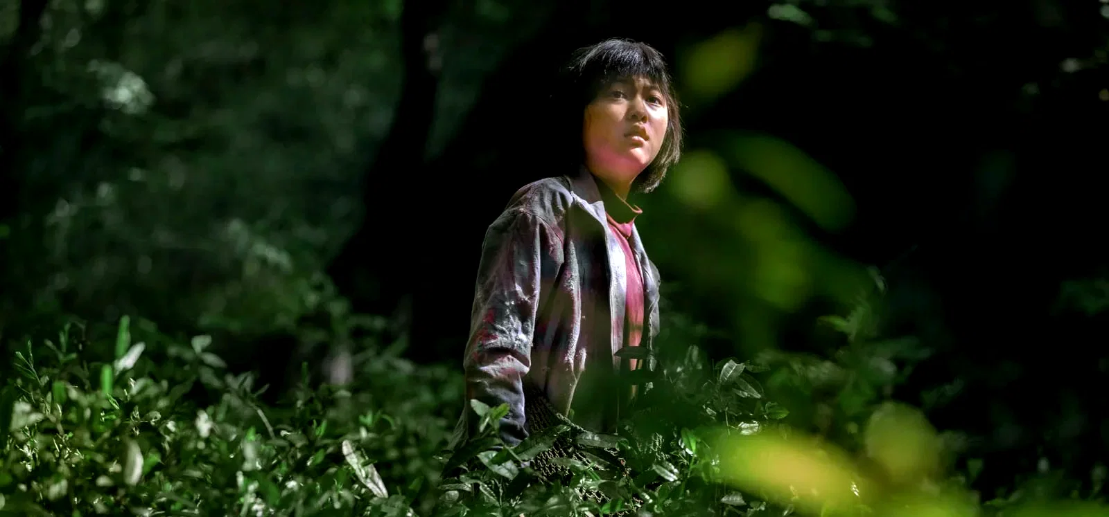 Photo 2 du film : Okja
