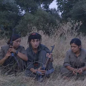 Photo du film : Terre de roses