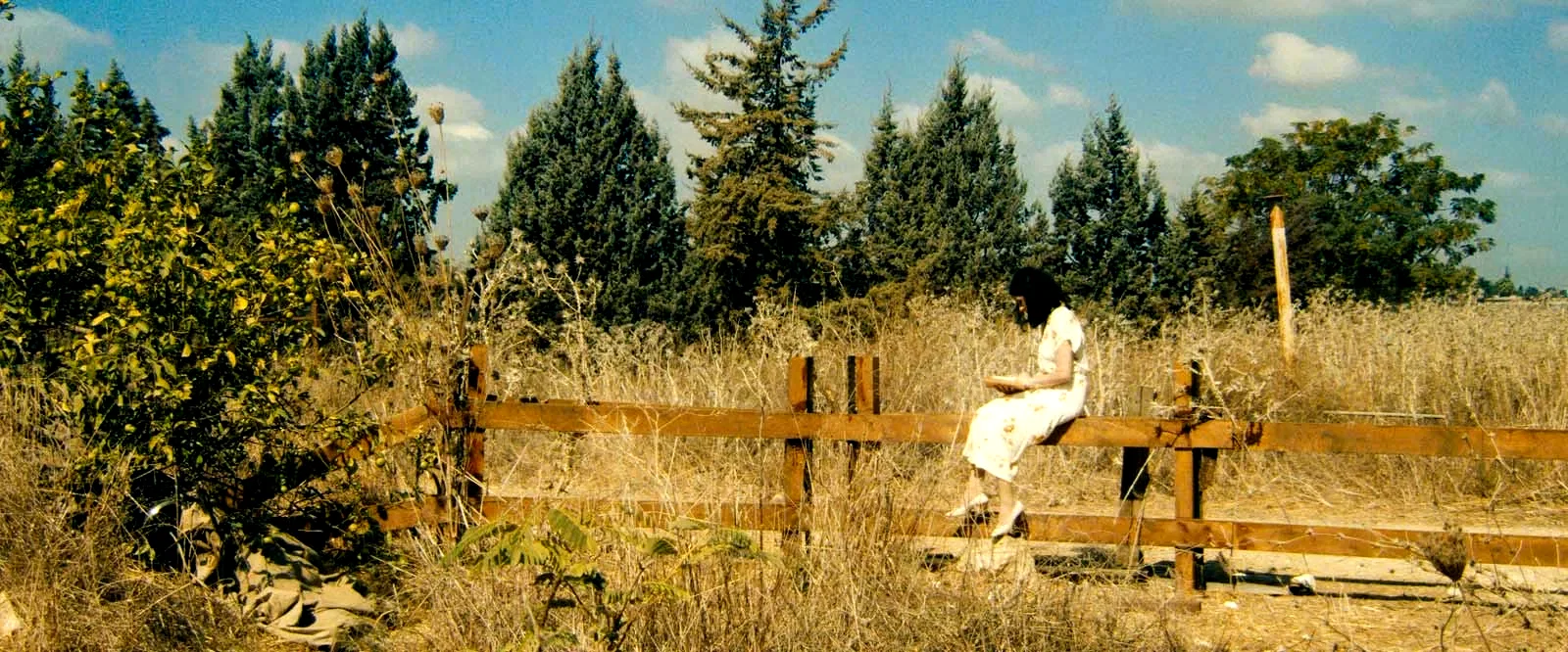 Photo 2 du film : Ewa