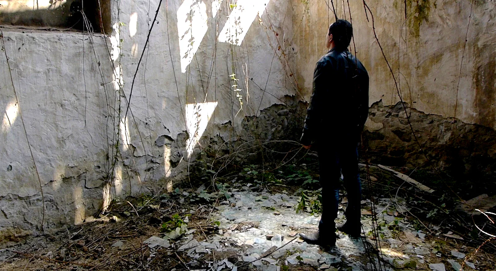 Photo 2 du film : Resident Forever