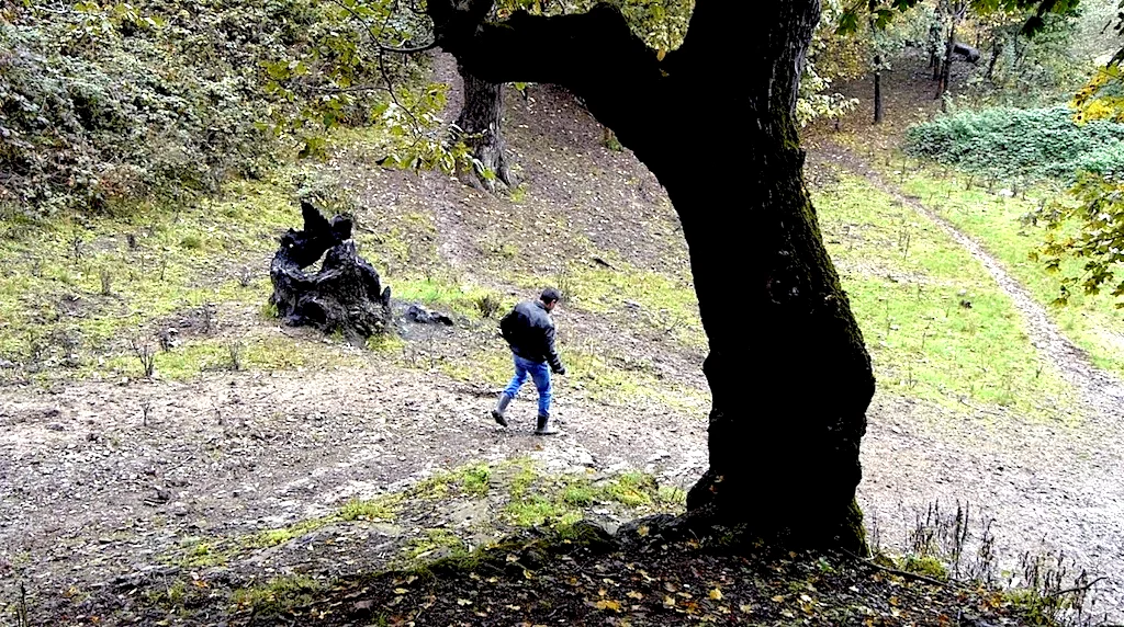 Photo 7 du film : Resident Forever