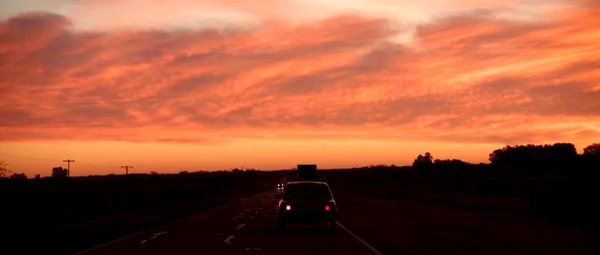 Photo du film : Camino a la Paz